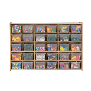 Contender 30-Cubby Shelf Organizer with Transculent Bins