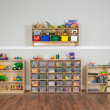 Contender 30-Cubby Shelf Organizer with Transculent Bins