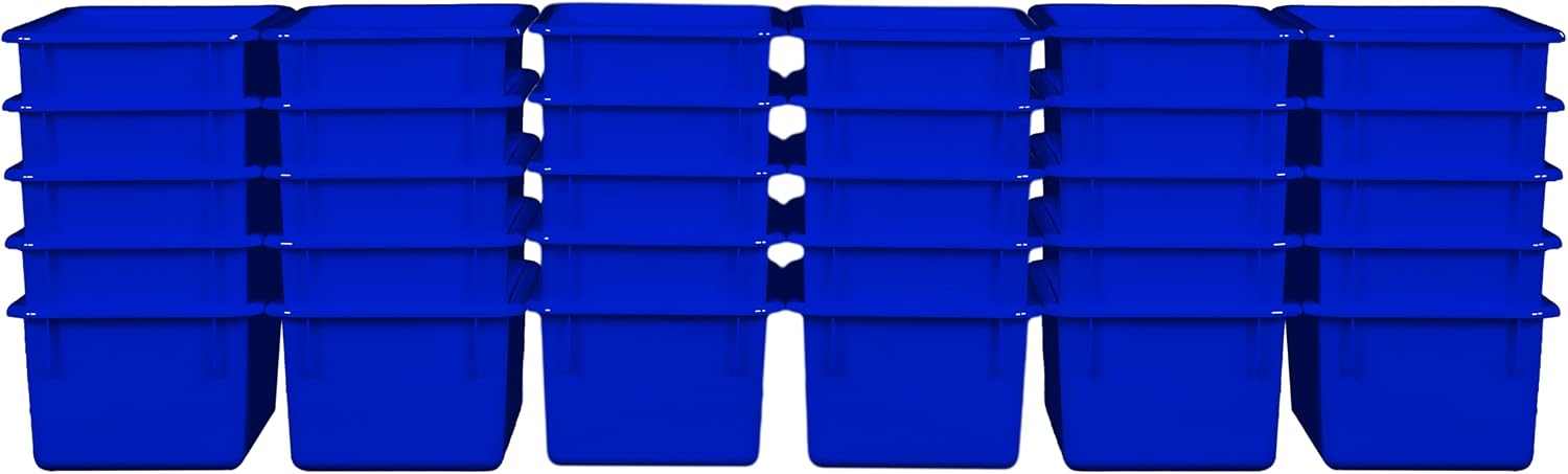 Set of 30 Cubby Trays