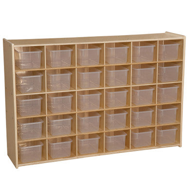 Contender 30-Cubby Shelf Organizer with Transculent Bins
